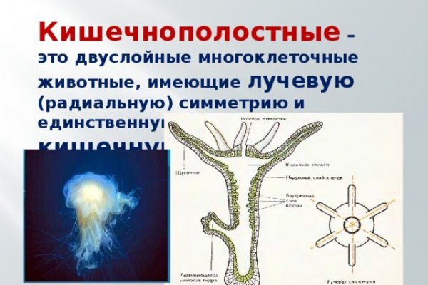 Кракен даркнет лол
