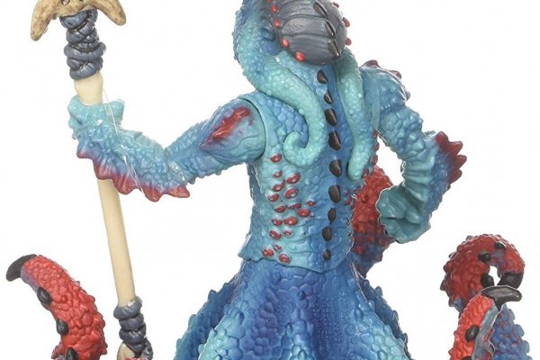 Kraken 24 at