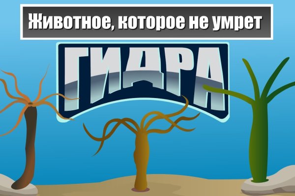 Нарко магазин кракен
